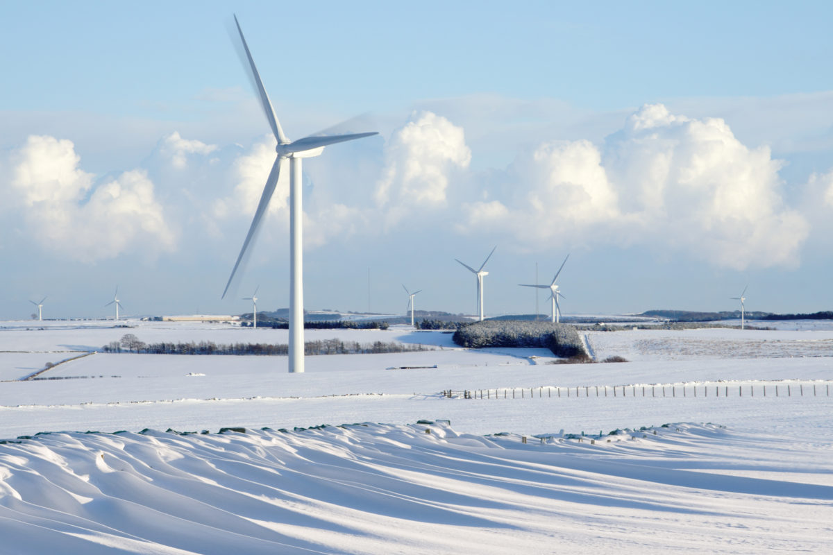 Several windmill in a snowy terrain