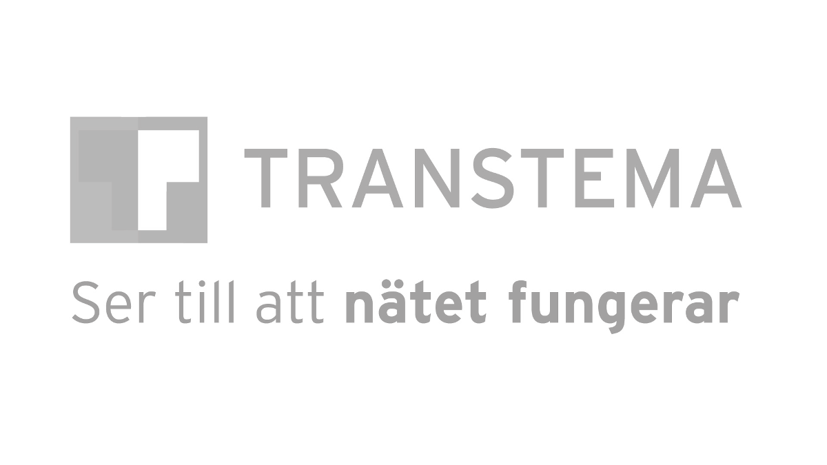 Gray Transtema logo