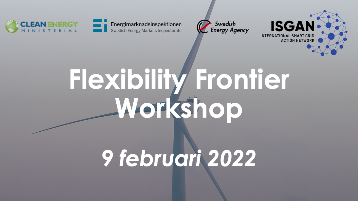 Läs mer om artikeln Flexibility Frontier Workshop