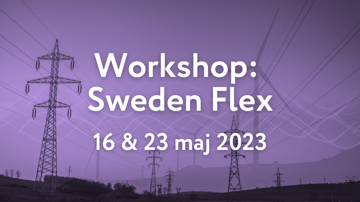 Läs mer om artikeln Workshops inom Sweden Flex
