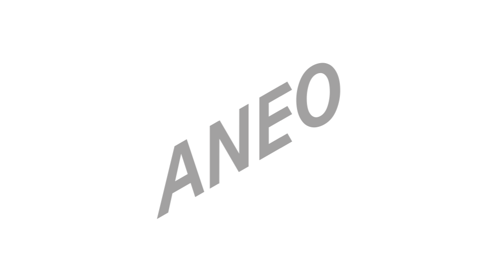 Aneo logo BW