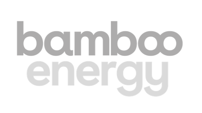 Bamboo Energy : Brand Short Description Type Here.