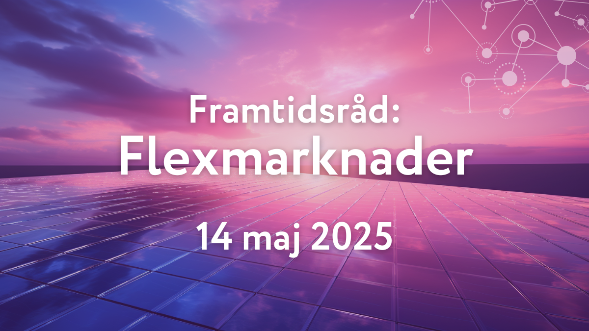 Läs mer om artikeln Framtidsråd: Flexmarknader