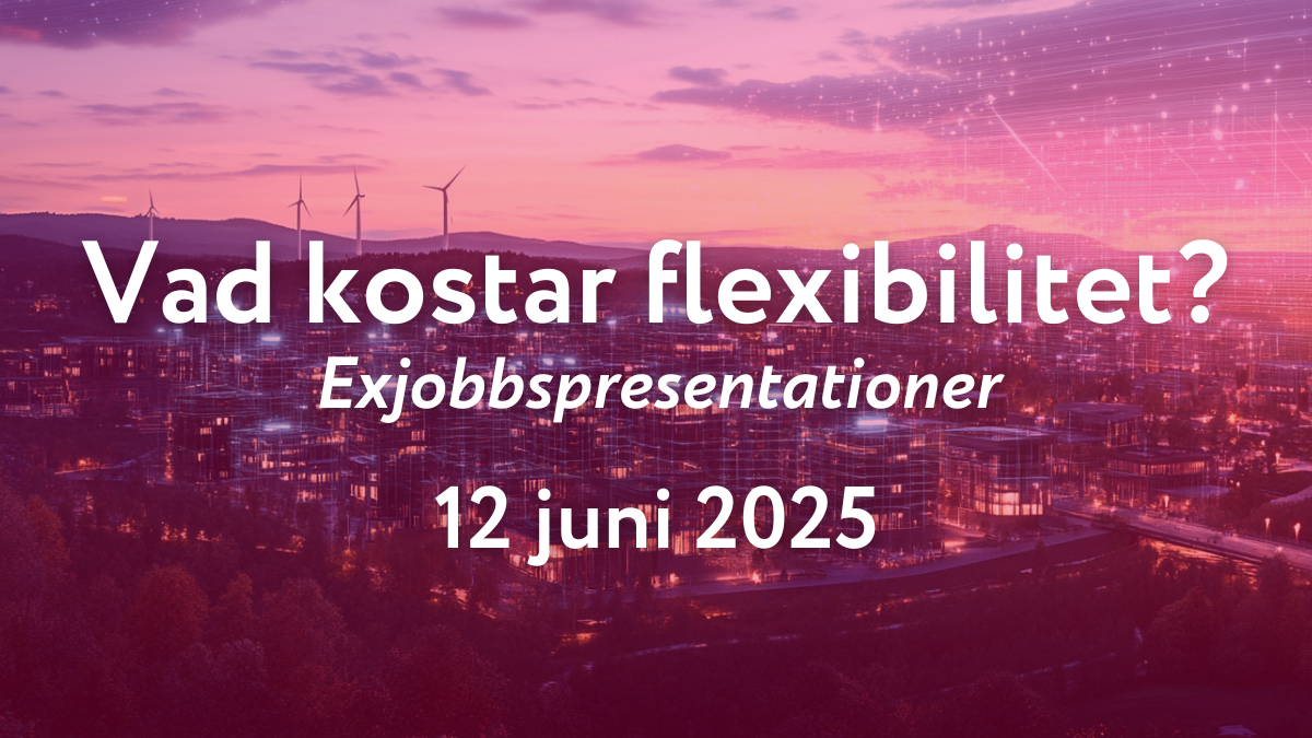 Läs mer om artikeln Exjobbsseminarium: Vad kostar flexibilitet?