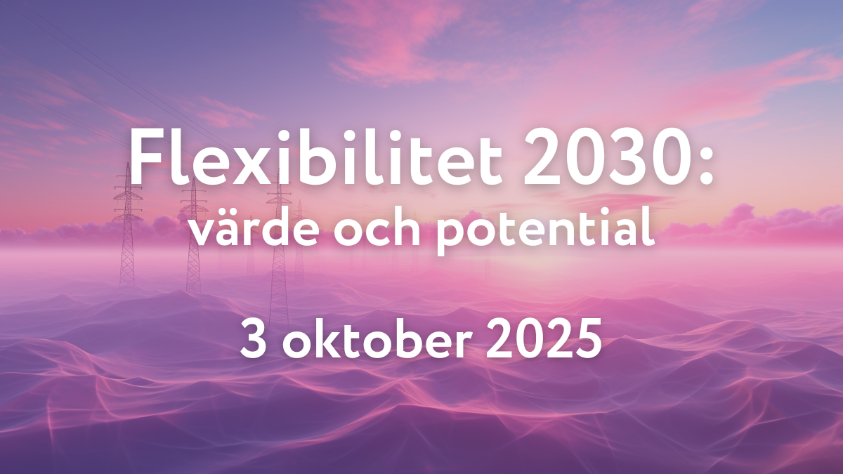 Läs mer om artikeln Flexibilitet 2030: värde och potential