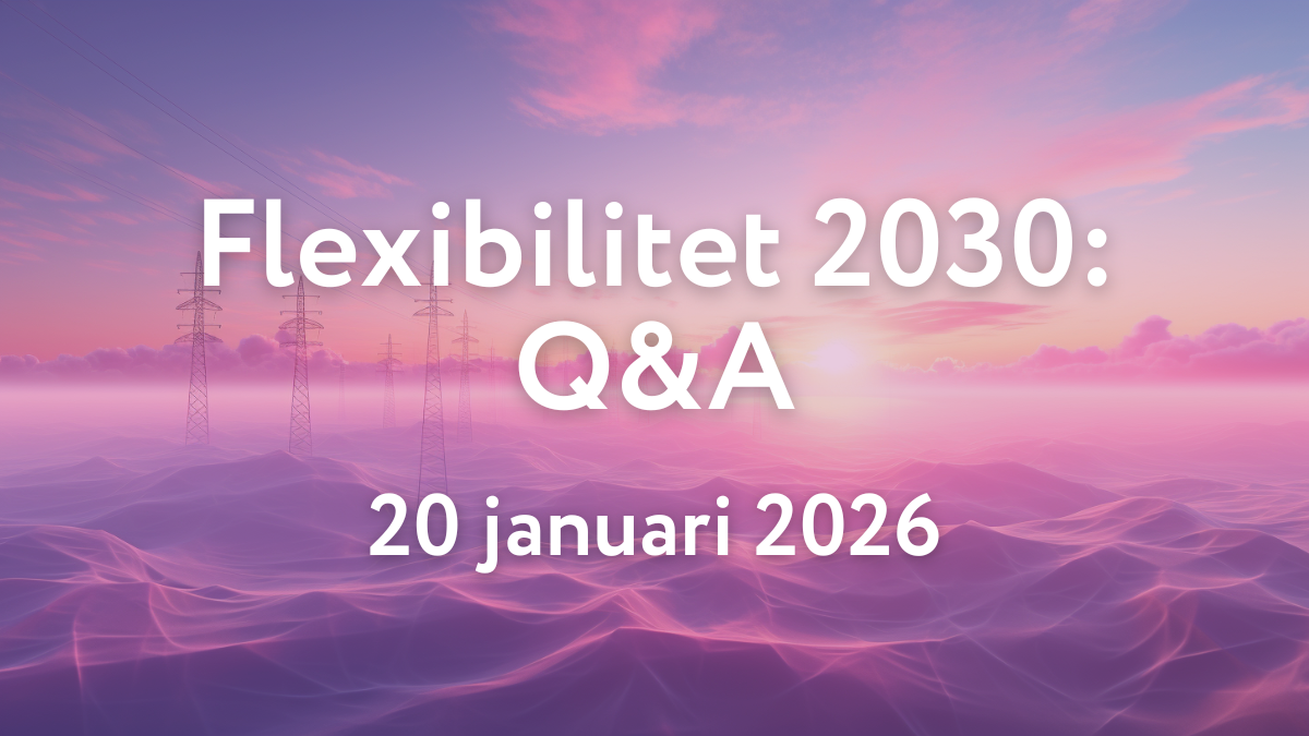 Läs mer om artikeln Q&A: Projekt FlexAbility