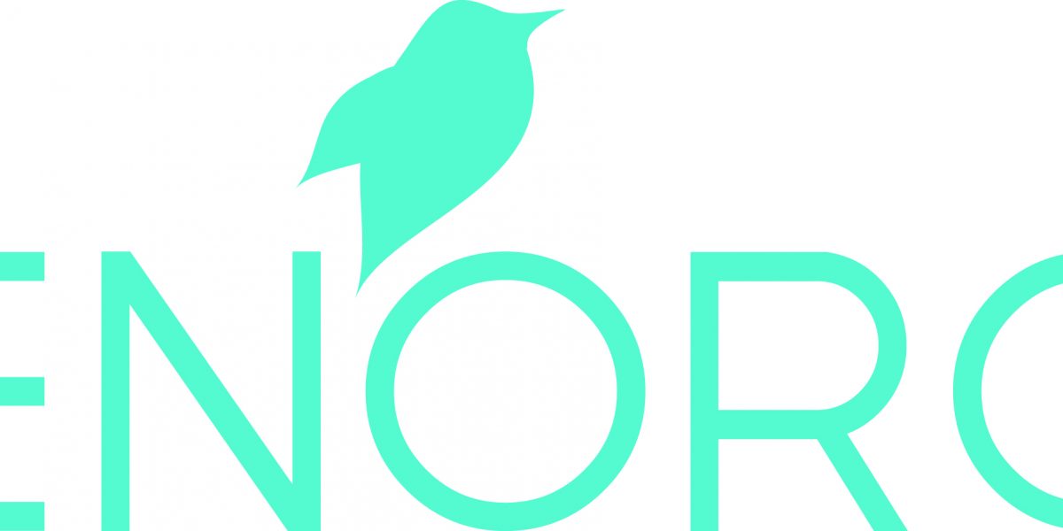 Teal Enoro logo